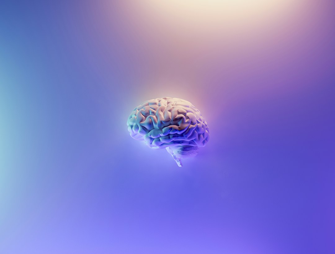 モーニングページの効果を脳科学で検証する — 脳のイメージ